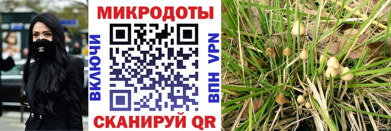 Псилоцибиновые грибы Psilocybine cubensis Бодайбо